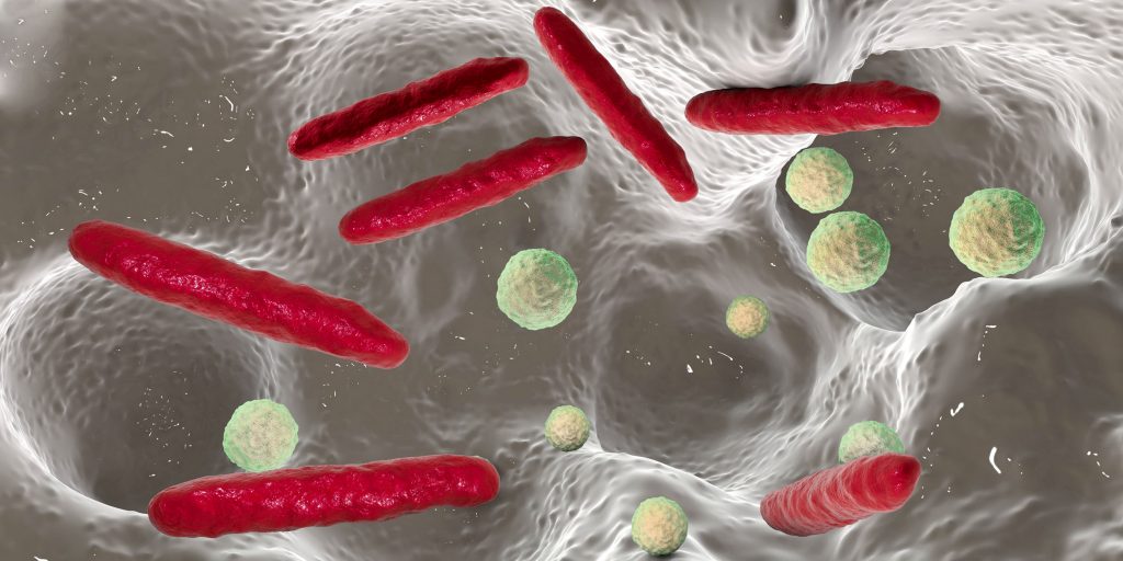 Kariesbakterien im Mundraum – 3D-Darstellung